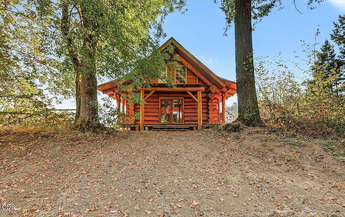 The log cabin beneath trees on the property